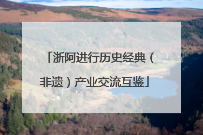 浙阿进行历史经典（非遗）产业交流互鉴